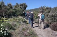 Wanderung zum Garajonay 