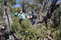 Wanderung zum Garajonay 