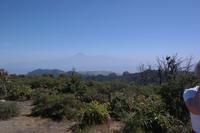 Wanderung zum Garajonay 