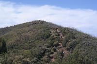 Wanderung zum Garajonay  - die letzten Meter...