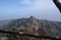 Garajonay - Gipfeltour