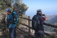 Garajonay - Gipfeltour (Rückweg)