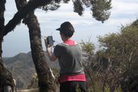 Garajonay - Gipfeltour (Rückweg)