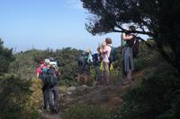 Garajonay - Gipfeltour