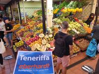 Die Hauptstadt Santa Cruz de Tenerife (1)