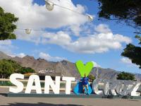 Die Hauptstadt Santa Cruz de Tenerife (13)