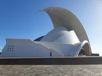 Die Hauptstadt Santa Cruz de Tenerife (17)