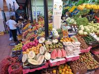 Die Hauptstadt Santa Cruz de Tenerife (19)