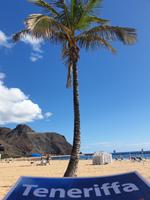 Las Teresitas Strand auf Teneriffa (4)