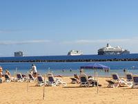 Las Teresitas Strand auf Teneriffa (12)