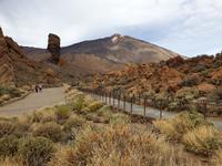National Park El Teide auf Teneriffa (6)