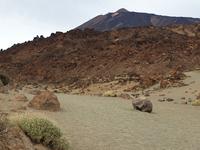National Park El Teide auf Teneriffa (8)