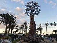 Puerto de la Cruz (4)