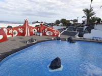 Puerto de la Cruz (22)