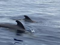 Teneriffa Rundreise Impressionen (18)