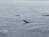 Teneriffa Rundreise Impressionen (20)