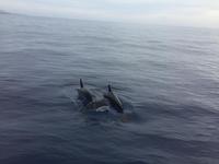 Teneriffa Rundreise Impressionen (24)