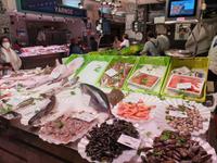 Tag  Wanderung in San Sebastian - Cobreces & Comillas - Reise in die Picos de Europa (26)