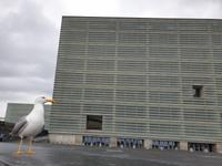 Tag  Wanderung in San Sebastian - Cobreces & Comillas - Reise in die Picos de Europa (30)