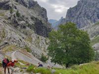 Tag  Wanderung auf der Ruta del Cares im Nationalpark Picos de Europa (19)