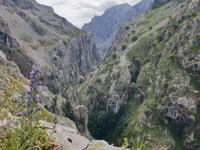 Tag  Wanderung auf der Ruta del Cares im Nationalpark Picos de Europa (35)