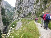 Tag  Wanderung auf der Ruta del Cares im Nationalpark Picos de Europa (42)