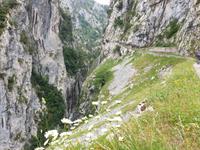 Tag  Wanderung auf der Ruta del Cares im Nationalpark Picos de Europa (43)