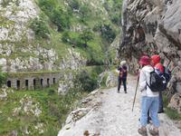 Tag  Wanderung auf der Ruta del Cares im Nationalpark Picos de Europa (45)