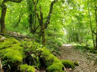 Tag  Wanderung auf der Ruta del Cares im Nationalpark Picos de Europa (60)