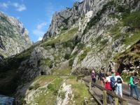 Tag  Wanderung auf der Ruta del Cares im Nationalpark Picos de Europa (72)