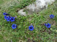 Tag  Wanderung im Nationalpark Picos de Europa - den spanischen Alpen (20)
