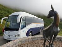 Tag  Wanderung im Nationalpark Picos de Europa - den spanischen Alpen (31)
