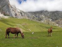 Tag  Wanderung im Nationalpark Picos de Europa - den spanischen Alpen (91)