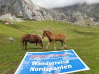 Tag  Wanderung im Nationalpark Picos de Europa - den spanischen Alpen (92)