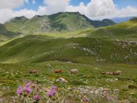 Tag  Wanderung im Nationalpark Picos de Europa - den spanischen Alpen (96)