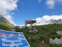 Tag  Wanderung im Nationalpark Picos de Europa - den spanischen Alpen (100)
