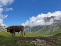 Tag  Wanderung im Nationalpark Picos de Europa - den spanischen Alpen (101)