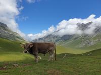 Tag  Wanderung im Nationalpark Picos de Europa - den spanischen Alpen (104)
