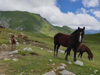 Tag  Wanderung im Nationalpark Picos de Europa - den spanischen Alpen (105)