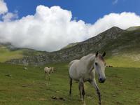 Tag  Wanderung im Nationalpark Picos de Europa - den spanischen Alpen (107)