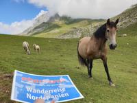 Tag  Wanderung im Nationalpark Picos de Europa - den spanischen Alpen (108)