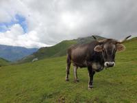 Tag  Wanderung im Nationalpark Picos de Europa - den spanischen Alpen (109)