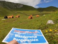 Tag  Wanderung im Nationalpark Picos de Europa - den spanischen Alpen (112)