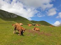 Tag  Wanderung im Nationalpark Picos de Europa - den spanischen Alpen (114)