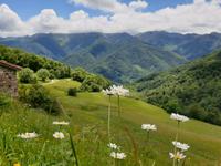 Tag  Wanderung im Nationalpark Picos de Europa - den spanischen Alpen (118)