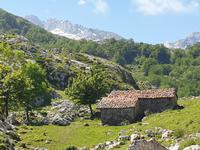 Tag  Wanderung bei den Covadonga-Seen - Ribadeo - Kathedralen-Strand (24)