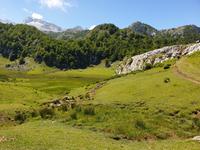 Tag  Wanderung bei den Covadonga-Seen - Ribadeo - Kathedralen-Strand (27)