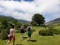 Tag  Wanderung bei den Covadonga-Seen - Ribadeo - Kathedralen-Strand (28)