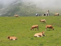 Tag  Wanderung bei den Covadonga-Seen - Ribadeo - Kathedralen-Strand (32)