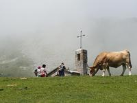 Tag  Wanderung bei den Covadonga-Seen - Ribadeo - Kathedralen-Strand (34)